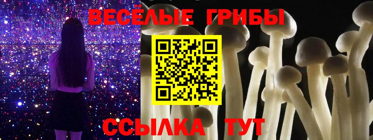 Всеволожск  наркотики  Вход с VPN  Псилоцибиновые грибы MAGIC MUSHROOMS 